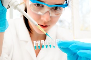 Researchers loads PCR samples